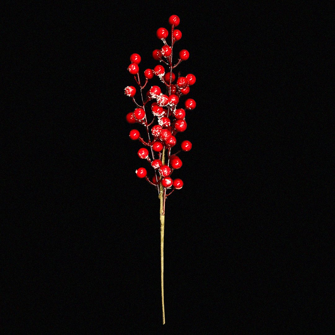 Rama_Berries_Nevada_Mod7225-72